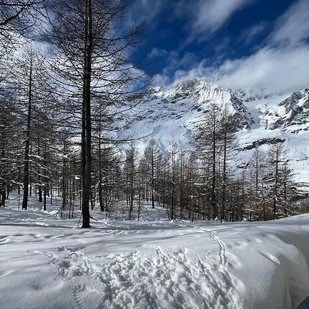 Cervinia Snow Dream Appartamento *