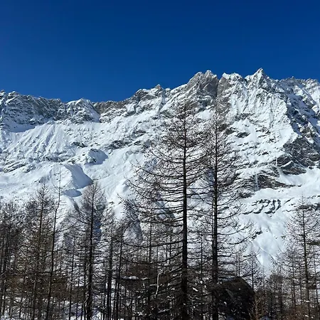 Cervinia Snow Dream *