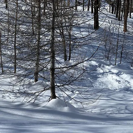 Cervinia Snow Dream *