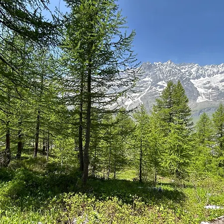 Appartamento Cervinia Snow Dream Breuil-Cervinia