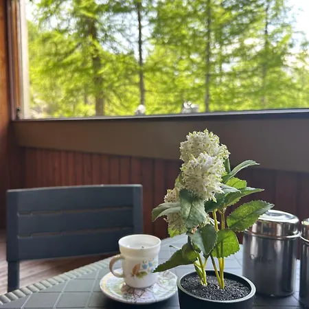 Appartement Cervinia Snow Dream *