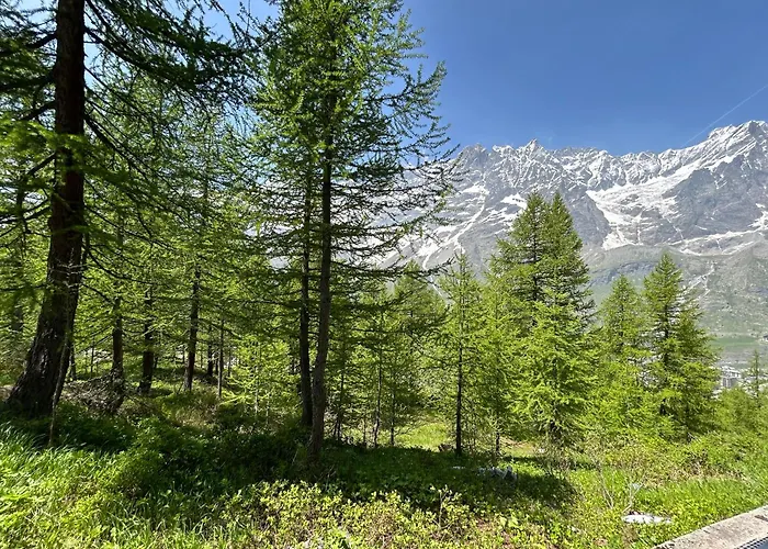 Apartment Cervinia Snow Dream Breuil-Cervinia