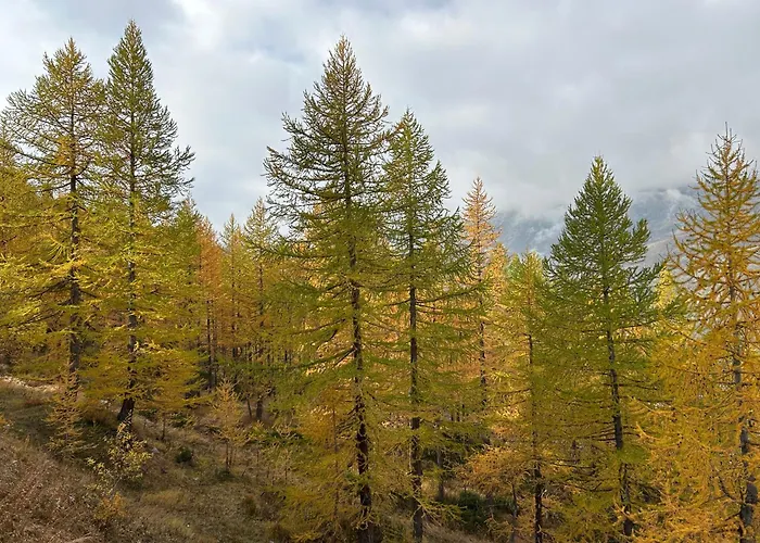 Cervinia Snow Dream ברויל-קרוויניה